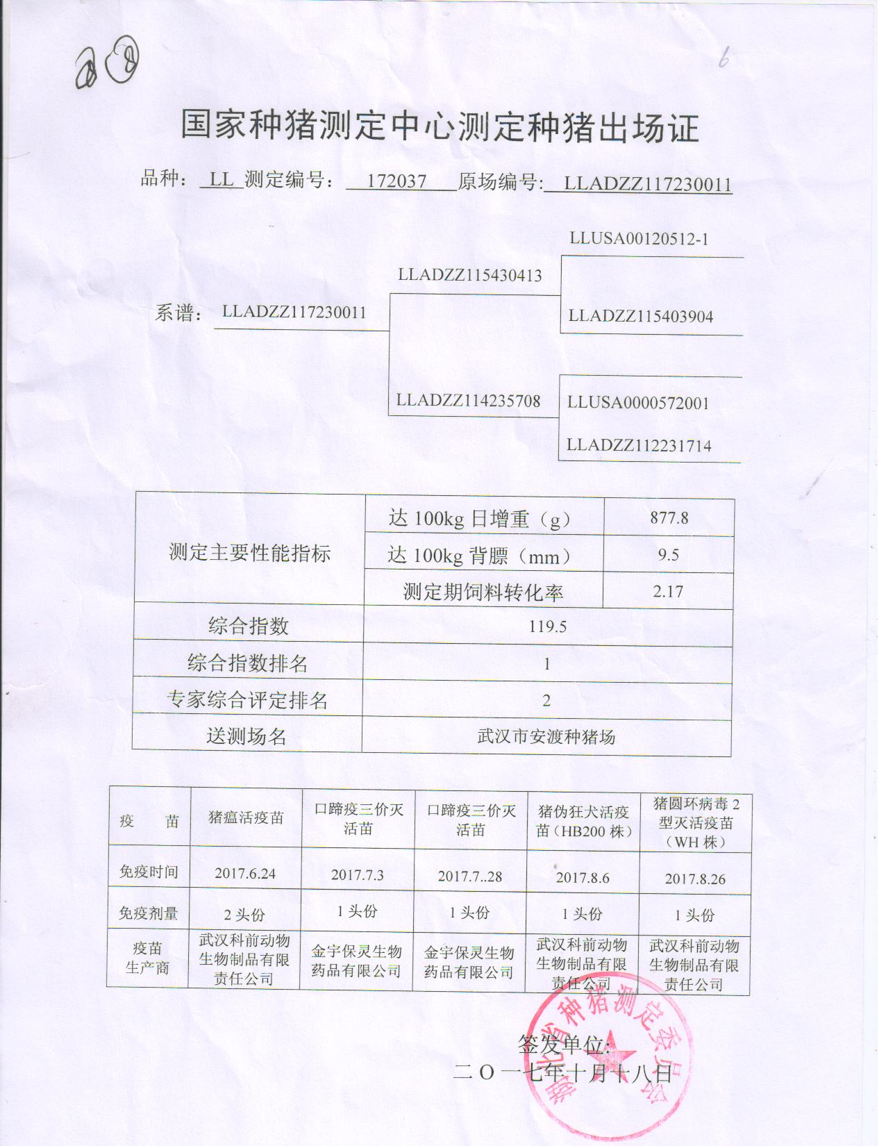 祝賀金農谷在第十七屆種豬拍賣會中成功拍回冠軍種豬